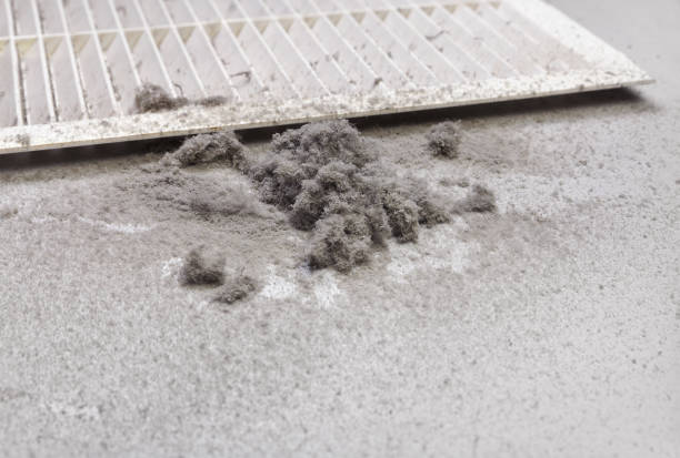 Best HVAC Air Duct Cleaning  in Vienna Bend, LA