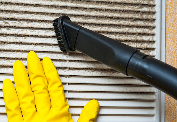 Best Air Duct Cleaning Near Me  in Vienna Bend, LA